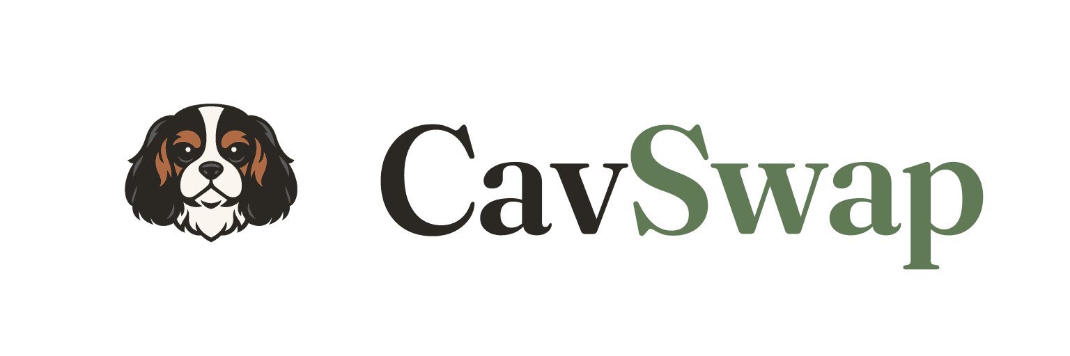 CavSwap logo